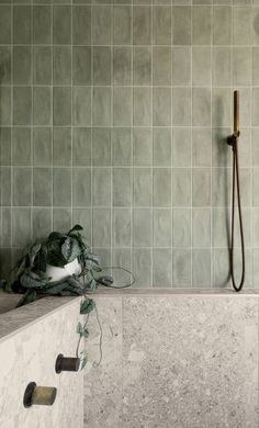 a bathroom with tiled walls and flooring next to a bathtub filled with plants