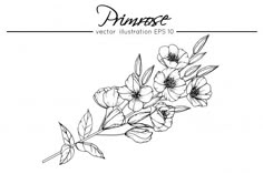 Primrose Tattoo, Violet Flower Tattoos, Primrose Flower, Violet Tattoo, Couples Tattoo, Native Tattoos, Porch Addition, Flower Drawing Tutorials, Birth Flower Tattoos