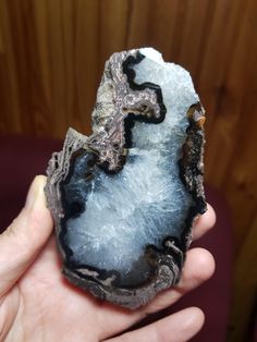 Super Rare! Druzy Petrified Wood, Opalized Petrified Wood Decoration Polished Collectable, Magnificent Petrified Wood Turkey Photos, Wood Decoration, Package Delivery, Petrified Wood, Wood Decor, Led Lampe, Last Minute Gifts, Druzy, Led Lamp