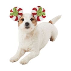 a small white dog with red and green christmas decorations on it's head laying down