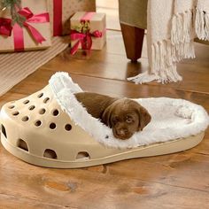 30 Pet Beds That Won’t Ruin Your Home Decor Chocolate Lab Puppies, Small Pet Bed, Trendy Gifts, Brown Dog, Dog Houses, Dog Behavior, Dog House, Pet Beds, On The Floor