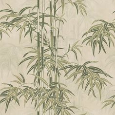 a bamboo tree with green leaves in front of a beige background