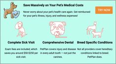 an info sheet describing the benefits of dental care for dogs and cats in their home