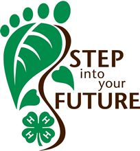 the step into your future logo is green and brown with shamrocks on it's foot