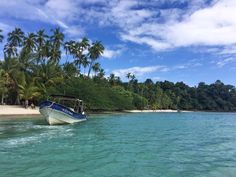 a boat that is sitting in the water near some palm trees and people walking on the beach