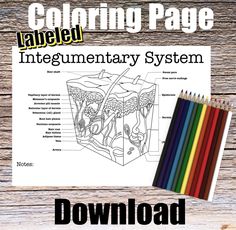 coloring page with the labeled diagram for an animal's body and its parts on it