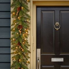 a door with a christmas tree on the side and lights hanging from it's sides