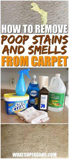 how to remove poop stains and smells from carpet with this diy recipe for cleaning