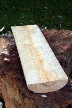 a piece of wood sitting on top of a tree stump