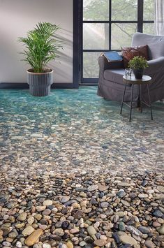 a living room filled with lots of rocks next to a couch and window sill