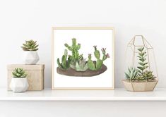 a white shelf topped with potted plants next to a planter filled with succulents