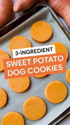 sweet potato dog cookies on a baking sheet with the title 3 - ingredient sweet potato dog cookies