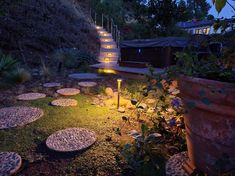 some lights that are on in the grass next to plants and steps leading up to a house