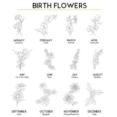 the birth flowers are shown in black and white