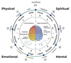 the diagram shows how zodiacs think about each other and what they mean them to be