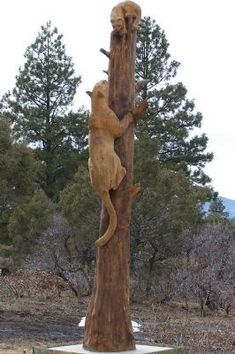 two cats climbing up the side of a wooden pole in front of some pine trees