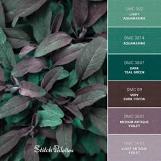 the color scheme is green and purple, with leaves in shades that match each other