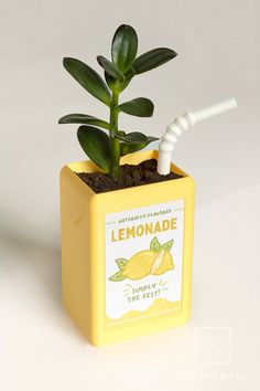 a lemonade plant in a yellow box with a white straw sticking out of it