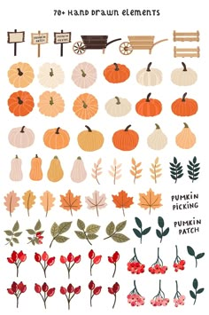 a bunch of pumpkins and leaves on a white background with the words 70 hand drawn elements