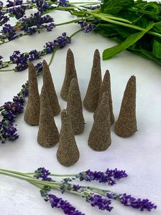 there are several cones made out of sand next to lavender flowers and green leaves on the table