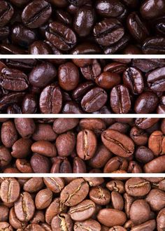 three different types of coffee beans with the same color and pattern as well as their names