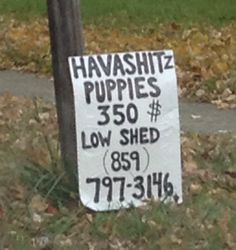 a sign that is sitting on the side of a road next to a street pole