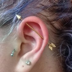 a person with ear piercings on their ears