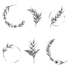 four different types of leaves and branches on a white background, each with black ink