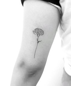 Carnation Dainty Tattoo, Single Line Carnation Tattoo, Chrysanthemums Tattoo Minimalist, Carnation Tiny Tattoo, Carnation Flower Bouquet Tattoo, Marigold Small Tattoo, Small Carnation Flower Tattoo, Dahlia Tattoo Minimalist, Tattoo Ideas Chrysanthemums