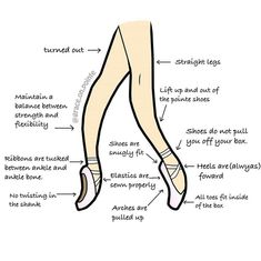 the anatomy of a woman's legs and ankles, with labels on each side