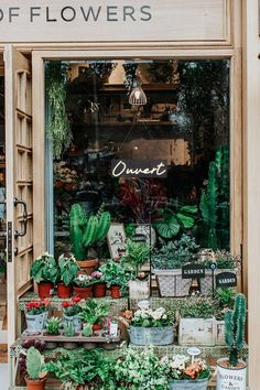 a flower shop with lots of plants in the window