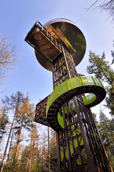 a large metal structure in the middle of a forest