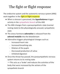 Psychology 101 Notes, Psychology Notes College Study, Psychology Aesthetic Notes, Psycology Tips Study, Psychology Revision Notes, Psychology Notes College, Psychology Notes Aesthetic