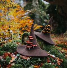 Witch Hat With Mushrooms Forest Wizard Hat Felted Hat Wool Halloween Costume Witch Costume Larp Hat Cosplay Dark Academia - Etsy Forest Wizard, Witches Hats, Wizard Hat, Forest Tattoos, Witch Halloween Costume, Wings Costume, Witch Costume, Fantasias Halloween, Witch Aesthetic