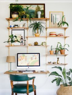 a living room with plants and pictures on the wall above a desk in front of a rug