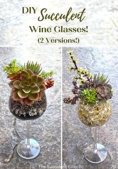 two wine glasses with plants in them and the words diy succulentt wine glasses 2 versions