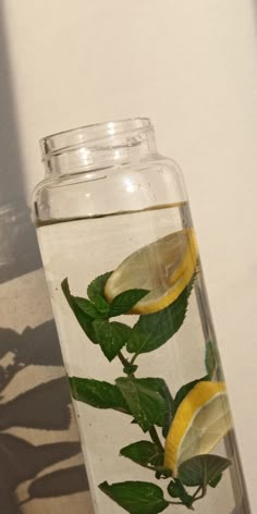 a glass jar filled with water and lemon slices