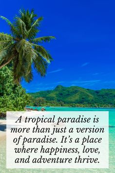 311 Tropical Captions That Will Boost Your Instagram in 2024! Tropical Paradise, Paradise