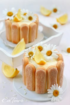 two small cakes with lemons and daisies on them