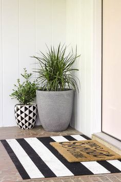 two potted plants sit on the front door mat next to a black and white striped rug