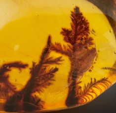 a glass vase with some plants in it