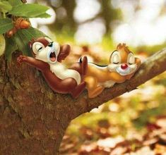 two chipmuns are sleeping on a tree branch