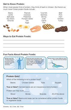 an info sheet describing the health benefits of proteins and other foods that are high in carbohydrates