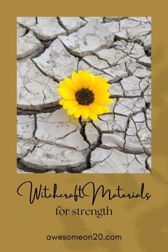 a yellow flower sitting in the middle of cracked ground with words that read, witchful materials for strength