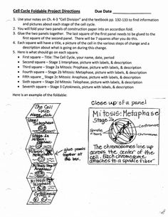 a piece of paper with information about the project and instructions for using it to help students understand