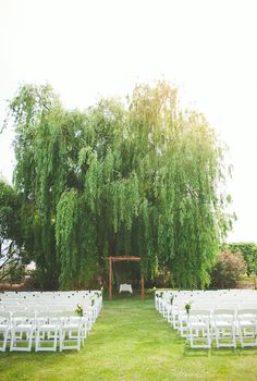 an outdoor ceremony setup with white chairs and greenery on the lawn, under a large willow tree