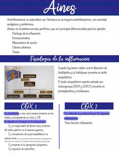 an info sheet with the words, names and symbols for different types of items in spanish