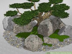 an image of a bonsai tree growing out of rocks