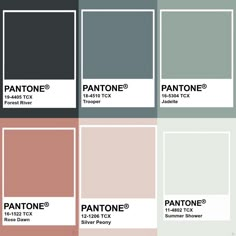 pantone's color swatches with different shades