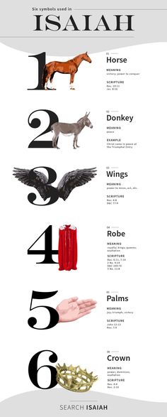 an info sheet with different types of animals and numbers